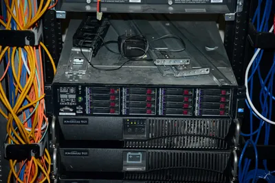 DSC_1324 (Large).JPG